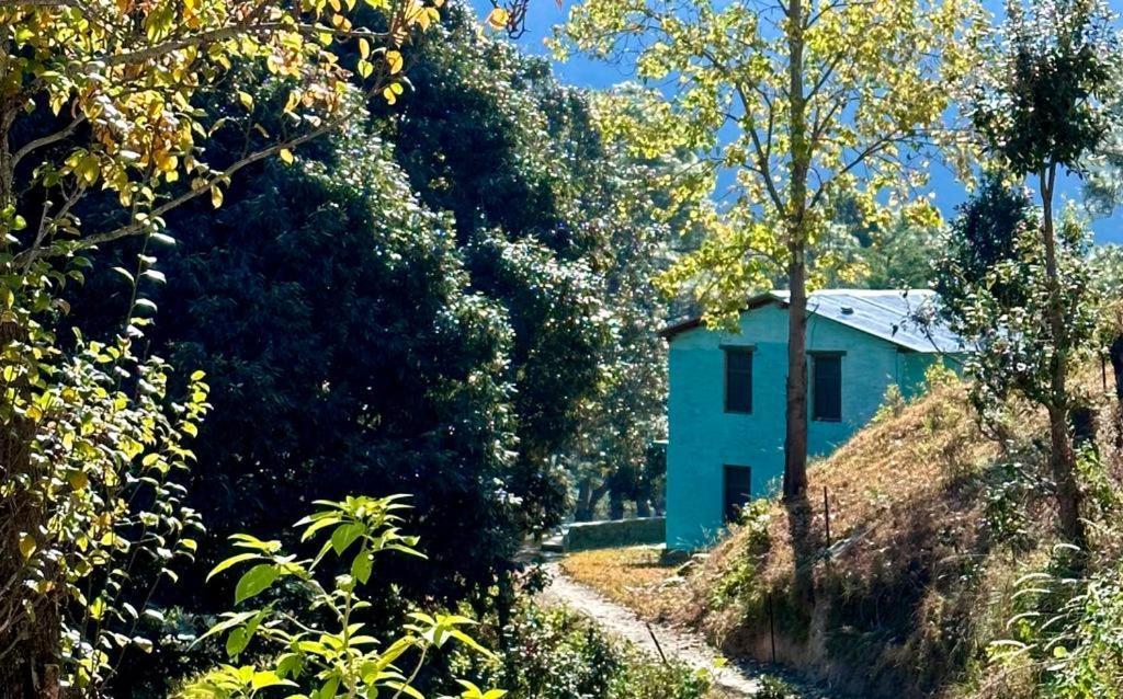 Joshi Cottage بينسار المظهر الخارجي الصورة
